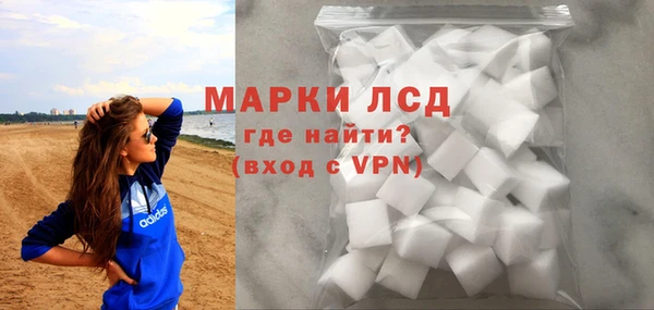 гашик Осташков