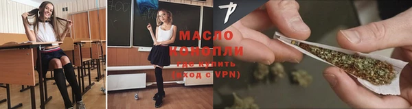 стаф Осинники