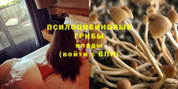 бошки Пестово