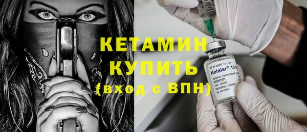 индика Переславль-Залесский