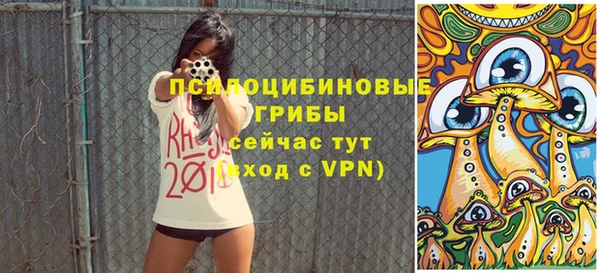 стаф Осинники
