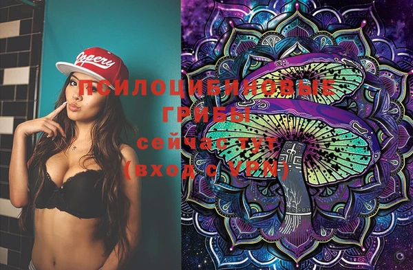 стаф Осинники