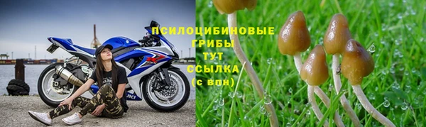 круглые Болотное
