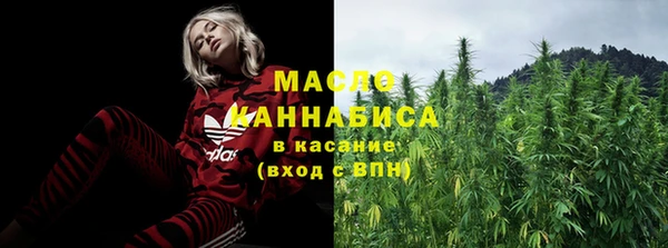 индика Переславль-Залесский