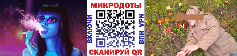 Псилоцибиновые грибы Psilocybe гидра вход Арсеньев