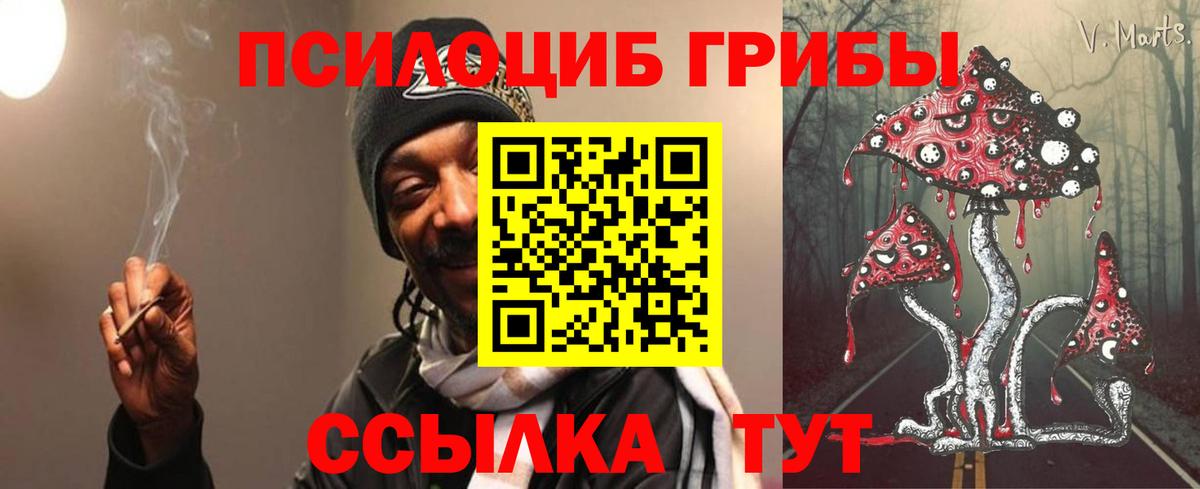 купить наркотики сайты  Вход с VPN  Арсеньев  Псилоцибиновые грибы мухоморы 